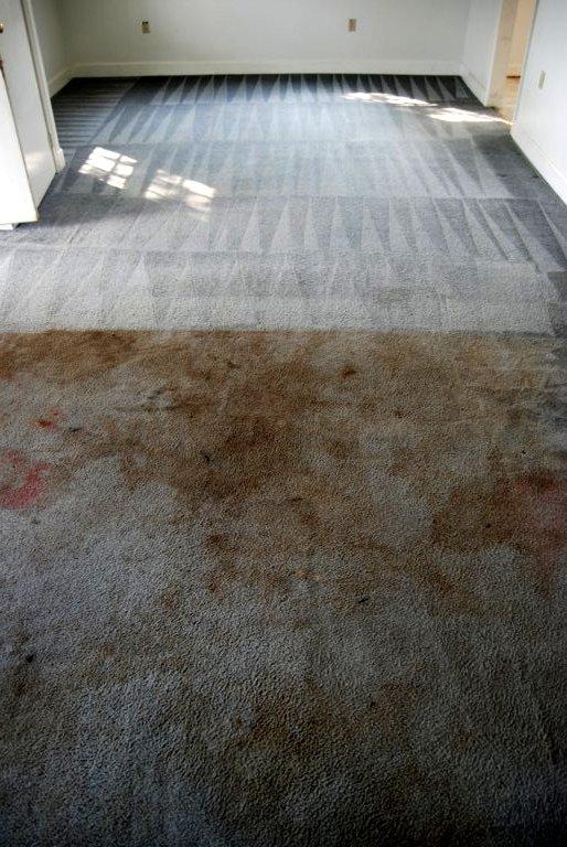 Walkers Carpet Care & Janitorial Service Manassas VA 20110 7033684959